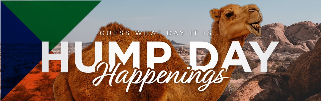 Guess what day it is... Hump Day Happenings